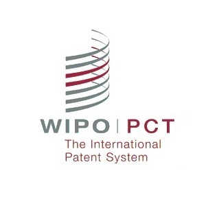 Delayed National Phase entry of a PCT/International Patent Application- A detailed perspective
