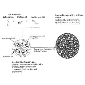 Arbutus Biopharma's new patent on Lipid Nanoparticles for delivering Nucleic Acids