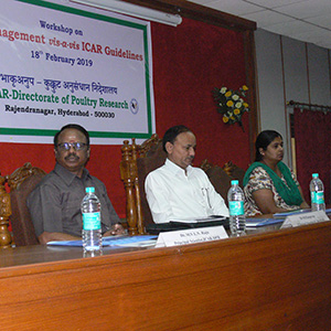 Important Workshop on “Intellectual Property Rights Management”