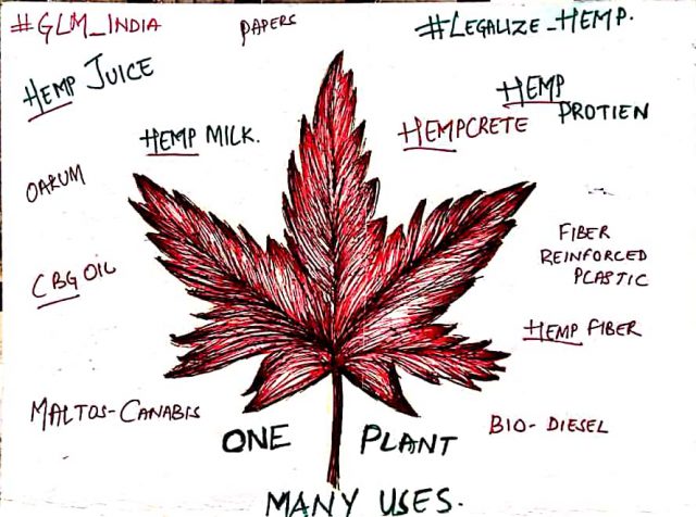 CBD-The Magical Molecule of Marijuana
